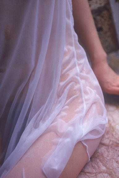 贵州省锦屏县:启蒙镇油茶种植实现生态致富‘世界杯投注平台’(图4) 世界杯下注